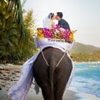 Favorite wedding photo. 22