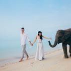 Favorite wedding photo. 66
