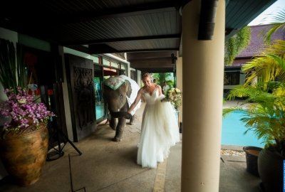 Wedding photography Pippa & Tony. Photo 35592