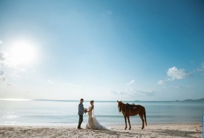 Wedding photography . Photo 128715