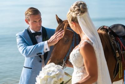 Wedding photography . Photo 128724